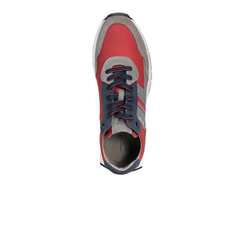 Low Top Colorful Sneakers